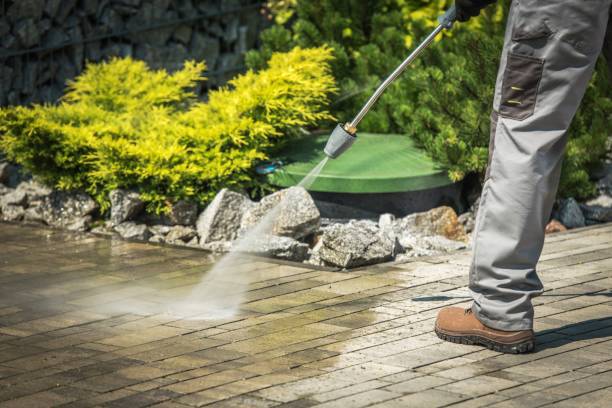 Best Animal Enclosure Cleaning  in Homestead, FL