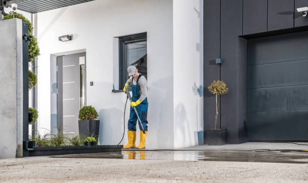 Best Driveway Pressure Washing  in Homestead, FL